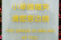 The Grass is Smiling at You