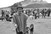 Old man with goats at the market