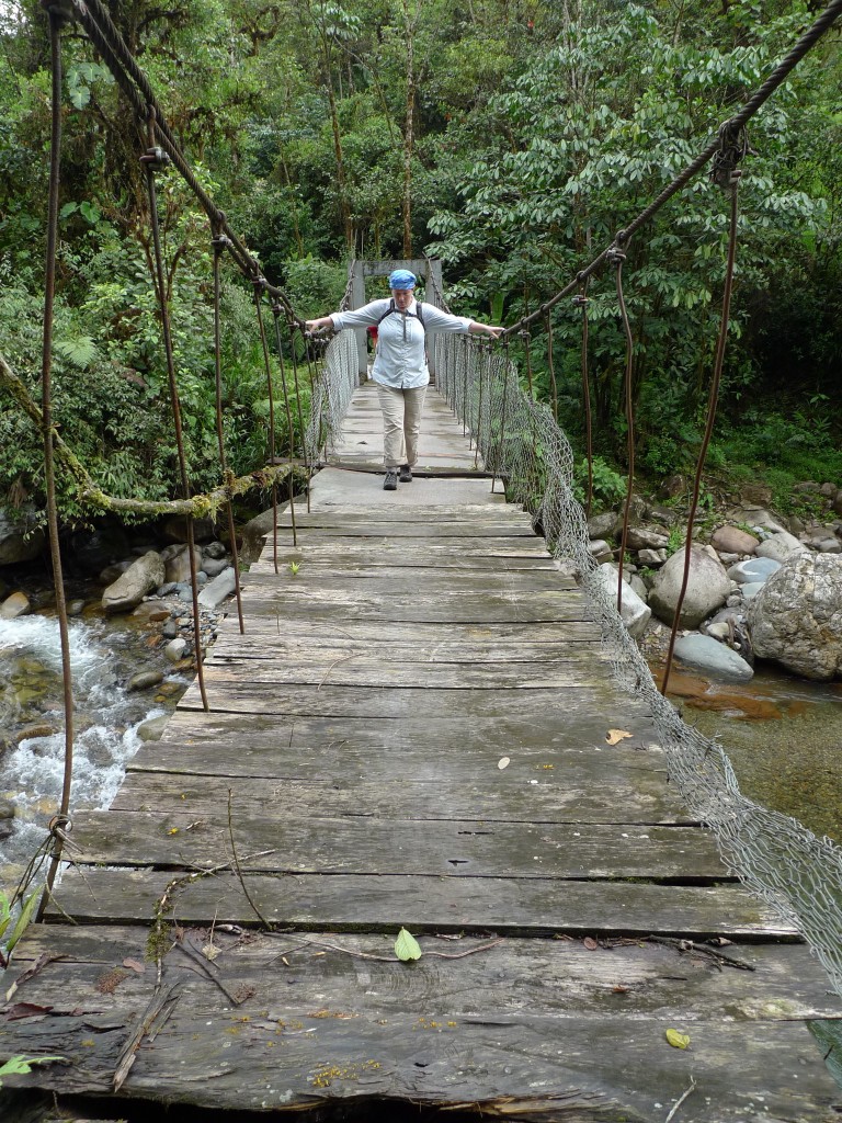 Not the most stable of bridges