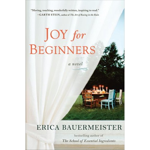 Joy for Beginners book cover