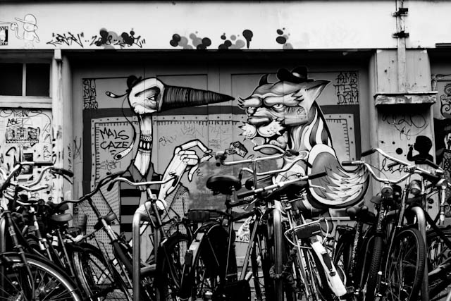 Feeding cheese on a wall