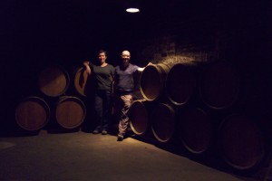the Patriarche wine cellar in Beaune, France