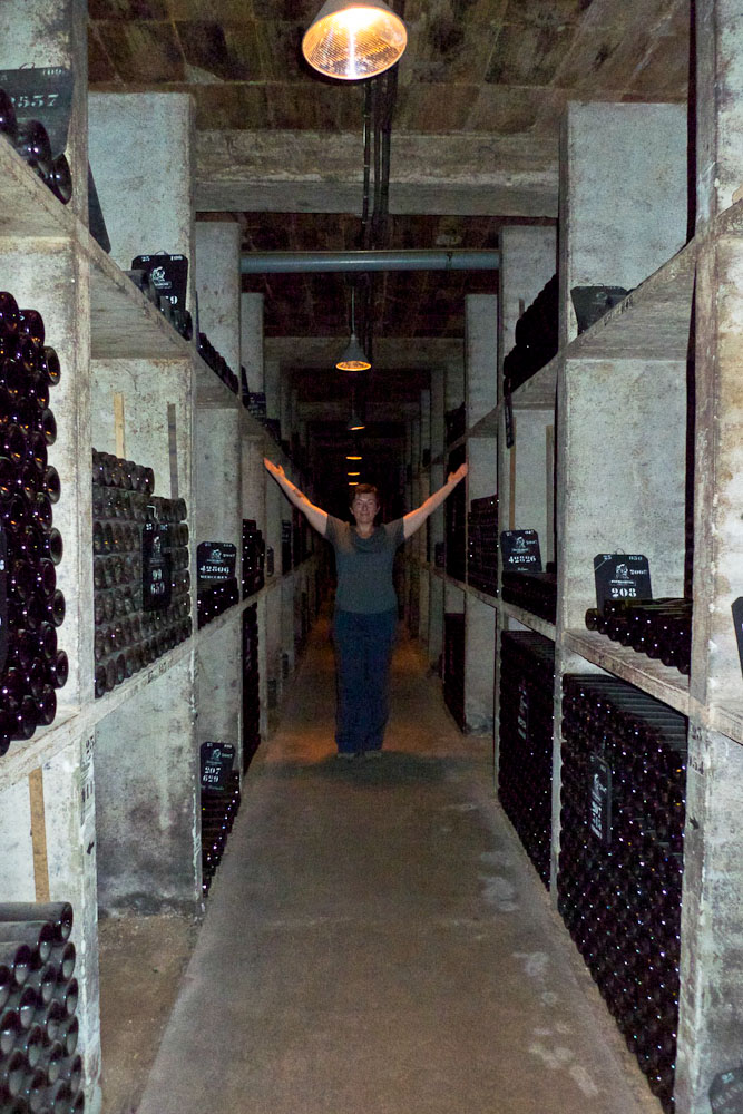 Choosing wine in a French cellar