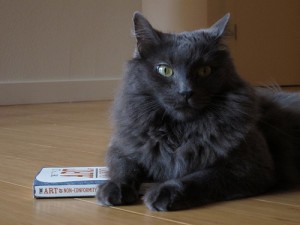 Chris Guillebeau's feline sidekick