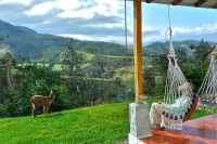 Betsy reading book with llama