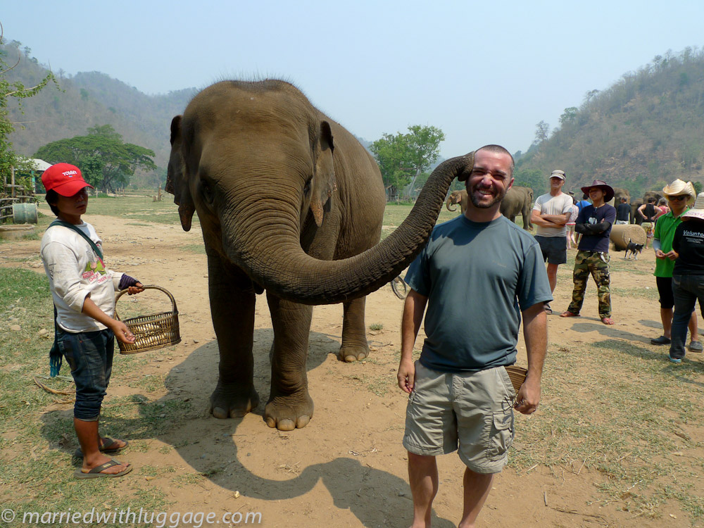 Kissed by an elephat