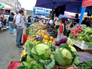 Losing weight | Healthy eating | Travel and Weight Loss